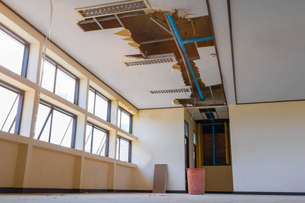 Best Water damage restoration near me  in Norwood, NJ