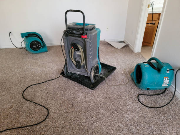 Best Ceiling water damage repair  in Norwood, NJ