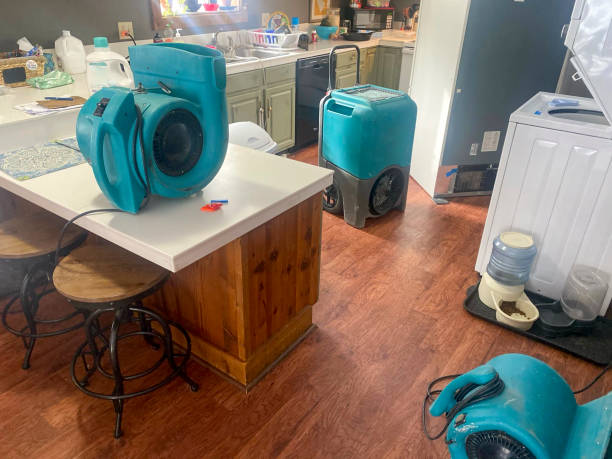 Best 24-hour water damage restoration  in Norwood, NJ