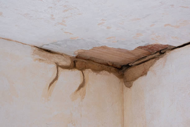 Best Water damage restoration experts  in Norwood, NJ