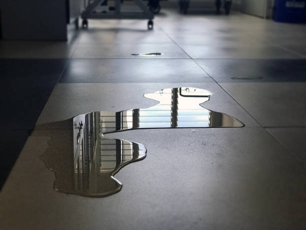 Best Water damage restoration near me  in Norwood, NJ
