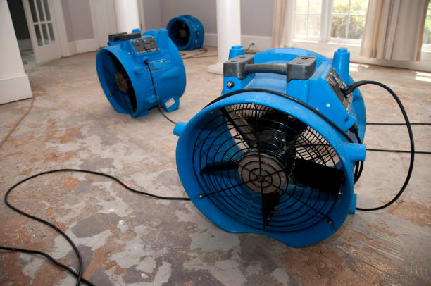Best Flood restoration services  in Norwood, NJ