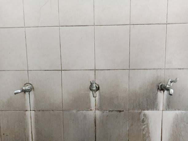 Best Commercial water damage restoration  in Norwood, NJ
