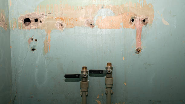 Carpet water damage restoration in Norwood, NJ