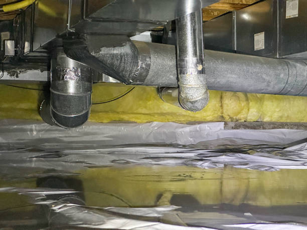 Best Carpet water damage restoration  in Norwood, NJ