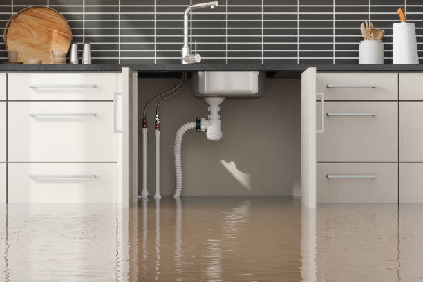 Best Flooded house restoration  in Norwood, NJ