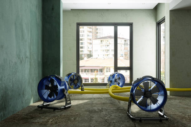 Best Emergency water damage restoration  in Norwood, NJ