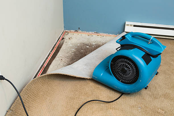 Trusted Norwood, NJ Water damage restoration Experts